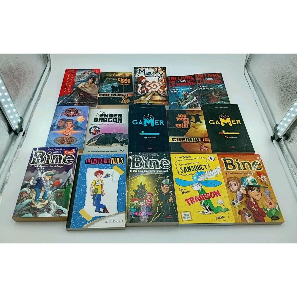 Lot of 20 French Books for Boys  Youth Early‎ Reader / Young Adult / Children